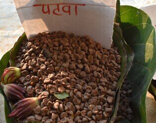 Local tribal communities have relied on forest resources for hundreds of years. Without damaging the environment, they pick fruits, mushrooms and nuts for their own sustenance, or sell them at markets for an income. (Photo: Yvonne Chan / Oxfam)
